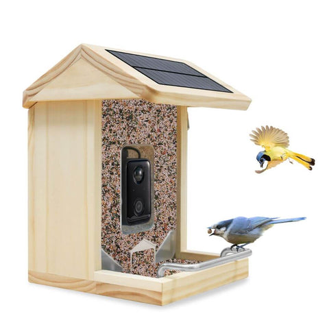 Free AI Bird Recognition Feeder with Wi-Fi 2K Camera