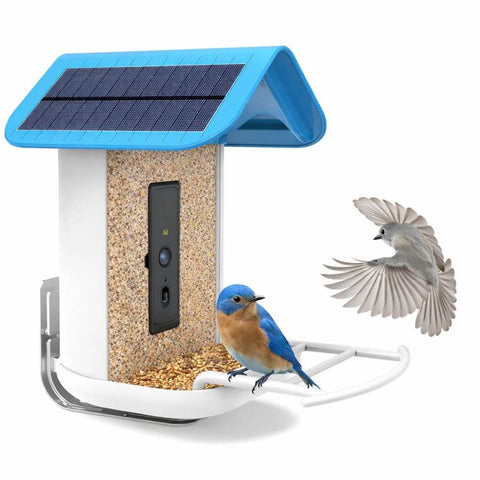 Free AI Bird Recognition Feeder with Wi-Fi 2K Camera