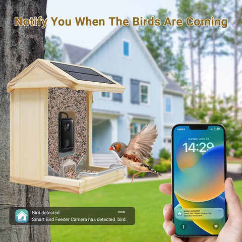 Free AI Bird Recognition Feeder with Wi-Fi 2K Camera