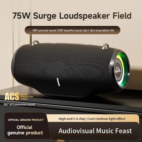 Rechargeable Outdoor Sound System for Party, Camping & Home (75W)