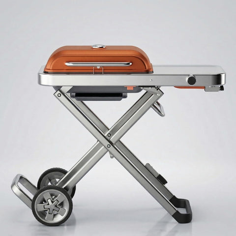 Portable BBQ Gas Grill with Foldable Stand & Wheels, Stainless Steel Charcoal Grill