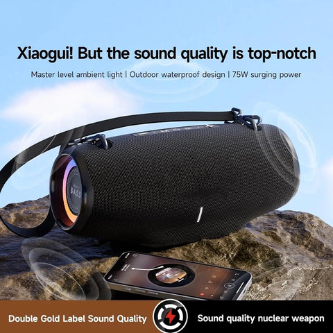 Rechargeable Outdoor Sound System for Party, Camping & Home (75W)