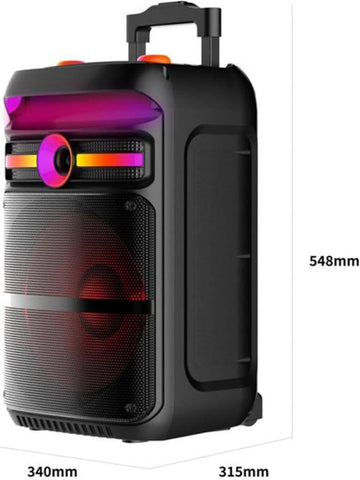 Portable Bluetooth Karaoke Speaker with Wireless Microphone & Remote – Rechargeable Party Speaker with RGB LED Lights
