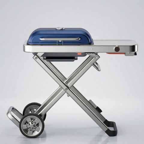 Portable BBQ Gas Grill with Foldable Stand & Wheels, Stainless Steel Charcoal Grill