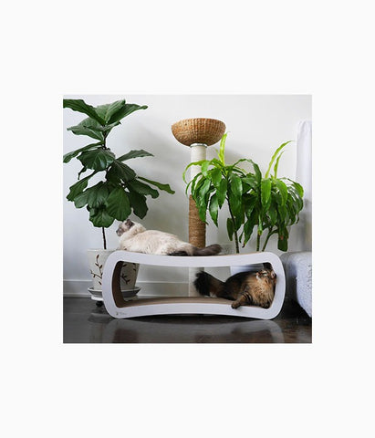 PetFusion Jumbo Cat Scratcher Lounge