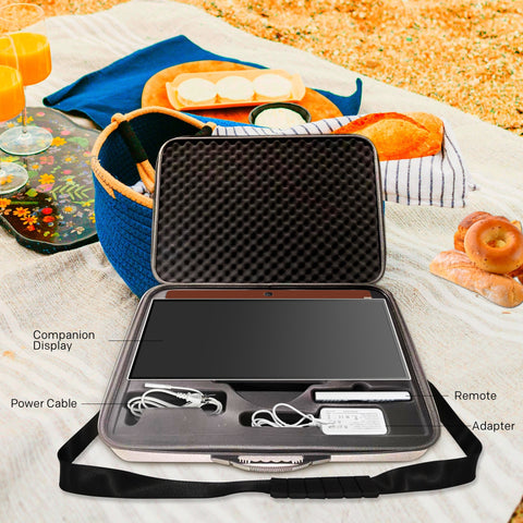 Skyworth 24 Inch Portable Smart FHD Smart Google TV With Case Bundle