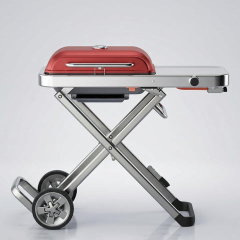 Portable BBQ Gas Grill with Foldable Stand & Wheels, Stainless Steel Charcoal Grill