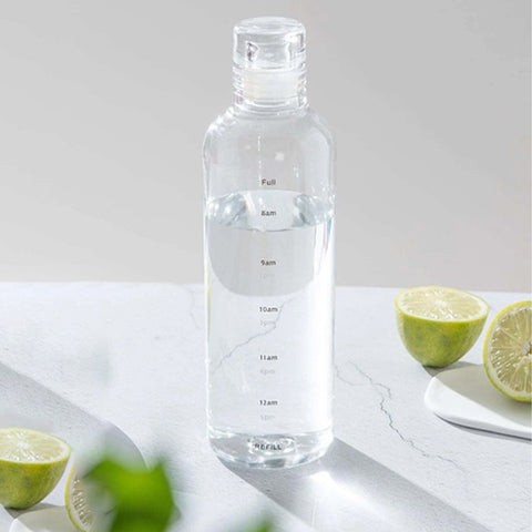 Olige Clear Glass Transparent Borosilicate Water Bottles With Time Marker