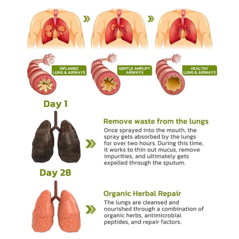 Breathdetox Herbal Lung Cleansing Spray