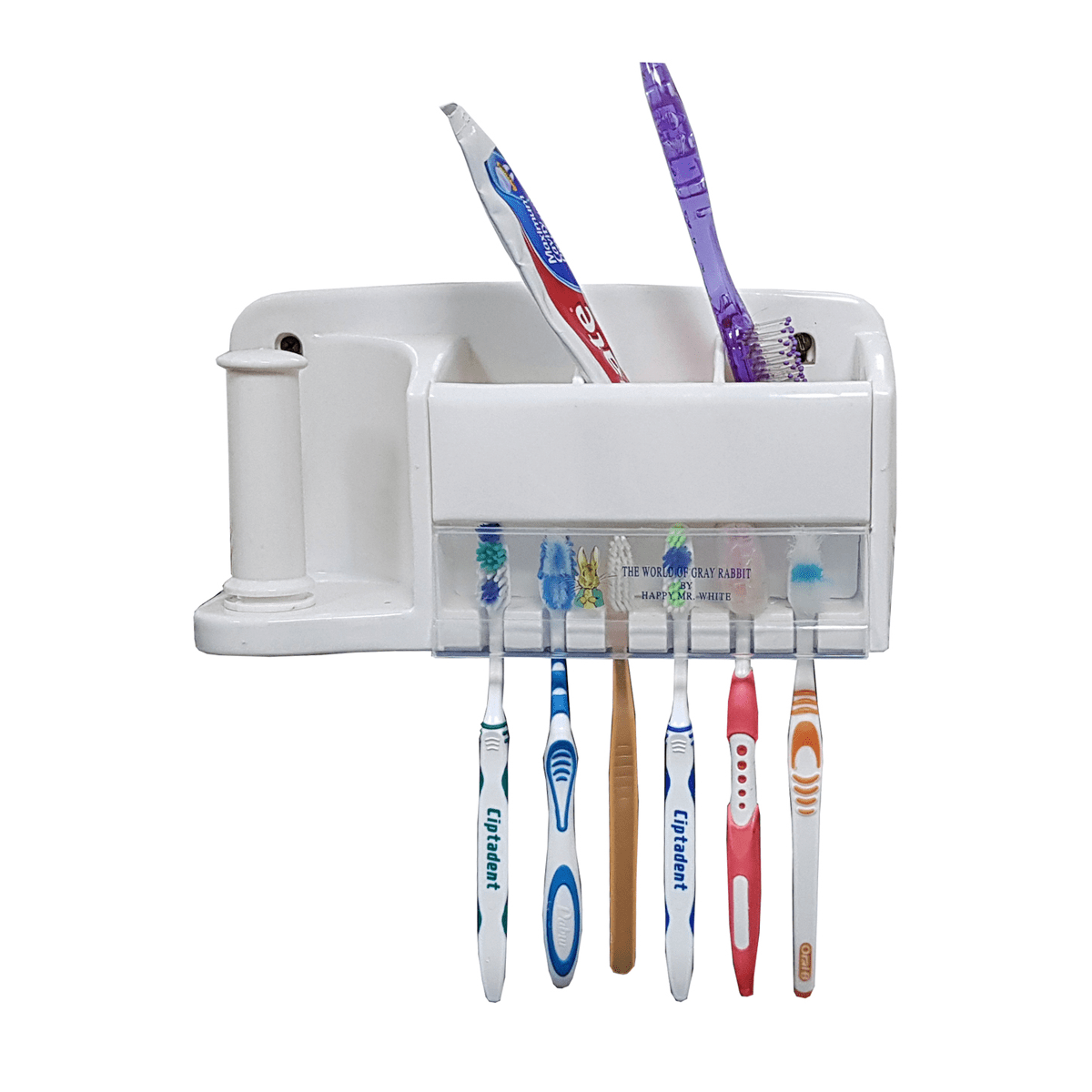 6 Tooth brush and paste holder - SquareDubai