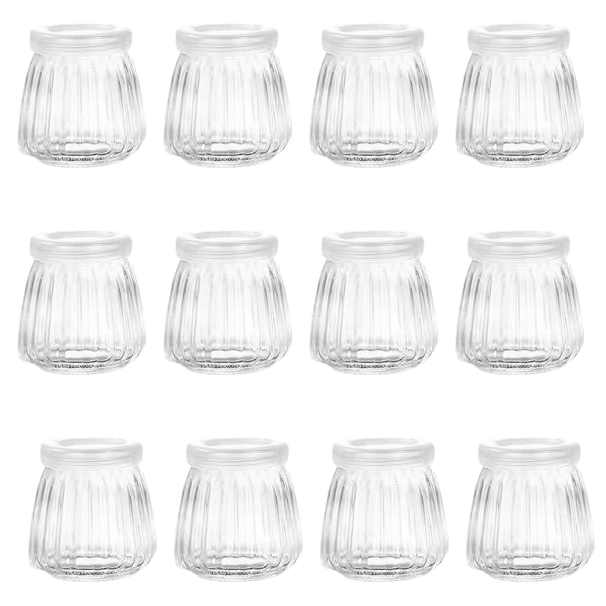 12Pcs Transparent  Glass Jars with PE Lids, - Willow