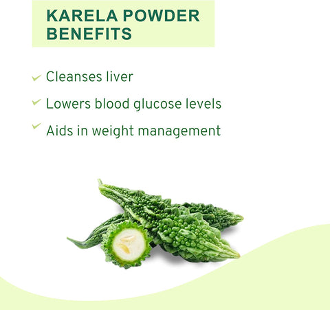 Vitro Naturals Organic Karela Powder 100 g | Pack of 2 | Supports Healthy Blood Sugar Levels