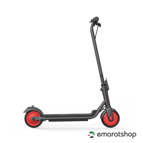 Ninebot ZING C20 Electric Scooter for Kids