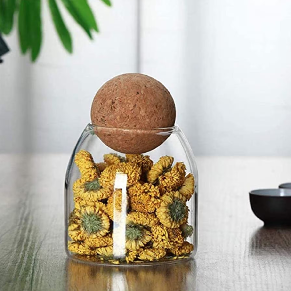 Glass Food Storage Jars with Wood Lid Ball, Pack of 6pcs - Willow