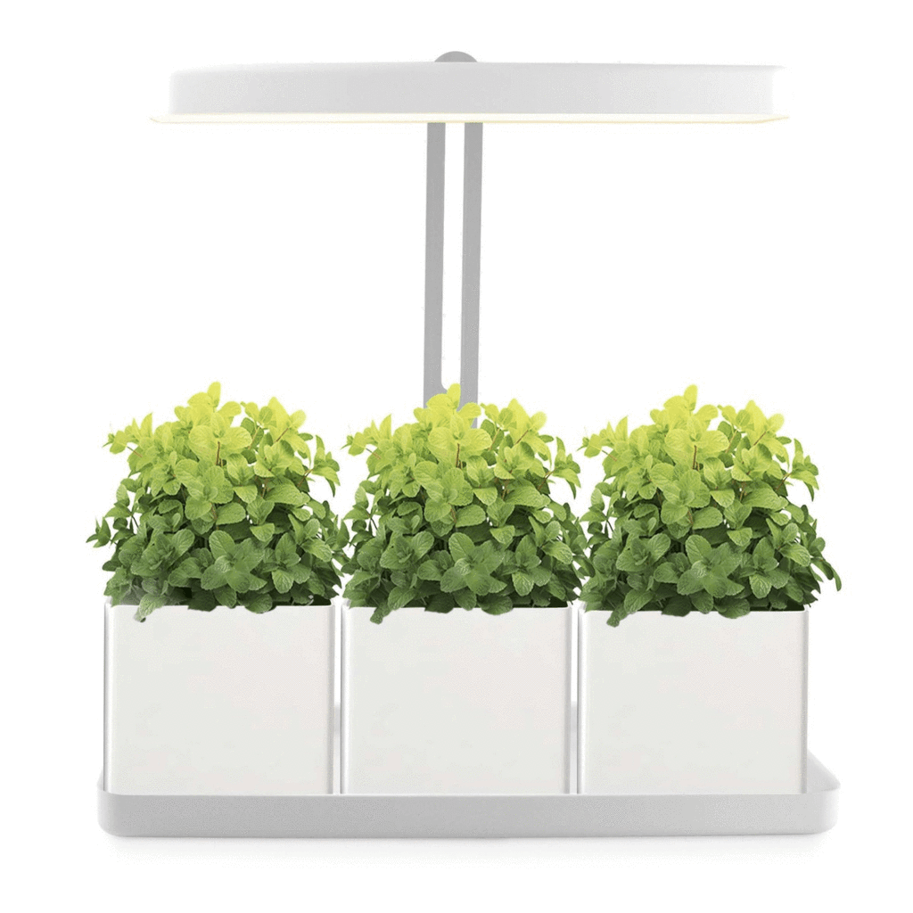 Mini Garden LED Gardening Frame with Pot