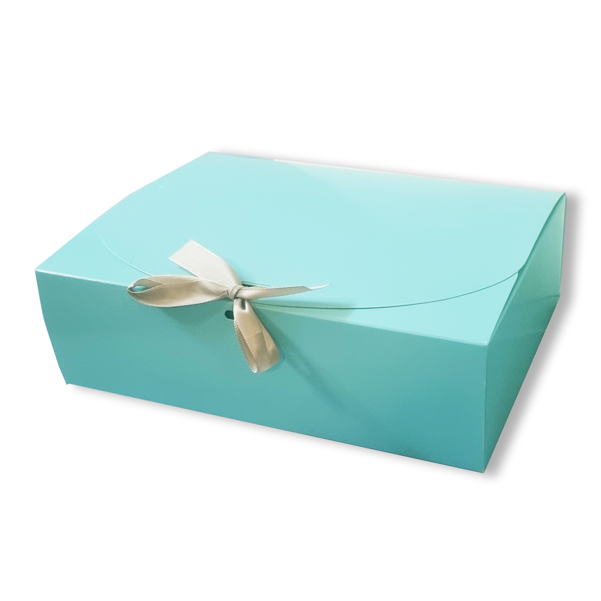 Silk Ribbon Closure Design MINT Kraft Gift boxes (27x20x8 Cms) 10Pc Pack - WILLOW