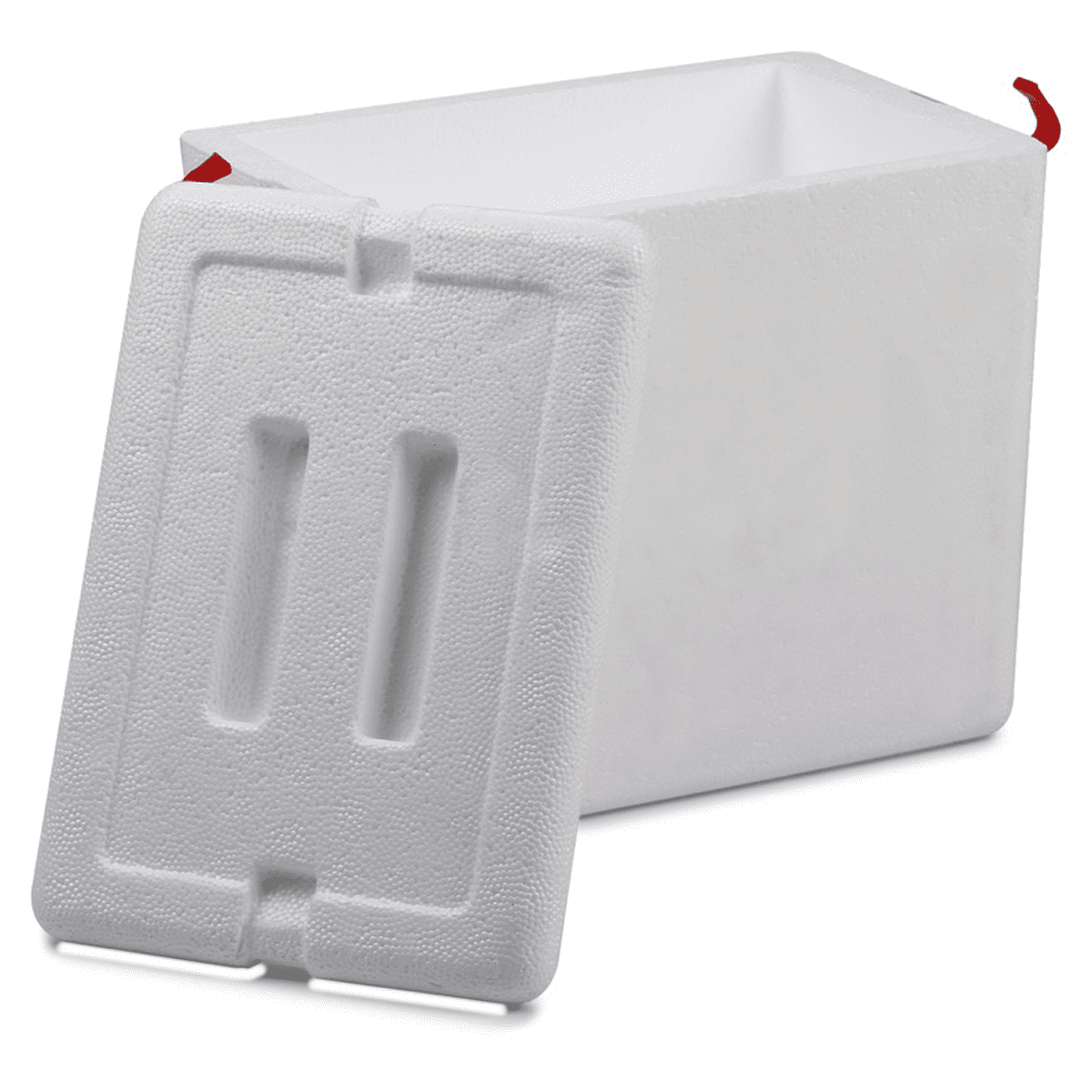 Ice cooler deals foam