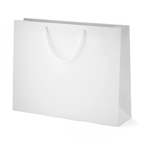 Heavy  230gsm Paper Bag Perfect for Kid’s Birthdays, (10 Piece Pack) - Silver