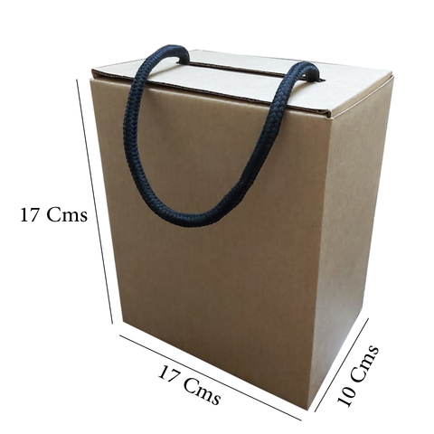 100Pc Pack Kraft Paper Box with Rope Handle 17x17x10Cm - Willow