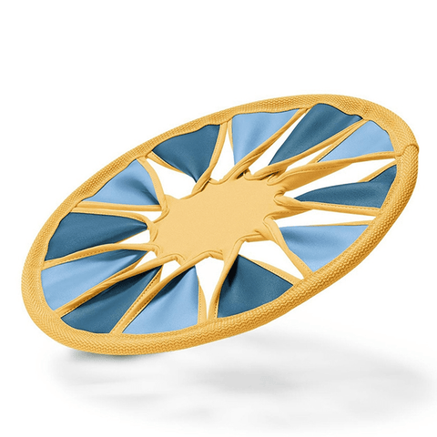 Sport Flying Disc, Blue/Yellow - Tchibo