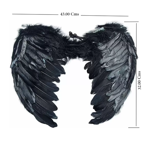 Feather Angel Wings Christmas Halloween Costume / Fancy Dress 43x32 Cms - Willow