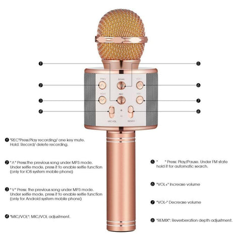 Wireless Bluetooth Karaoke Handheld Microphone WS-858