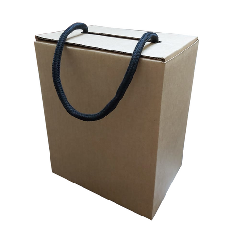 Kraft Paper Box  with Handle 17x17x10Cm (10Pc Pack) - Willow