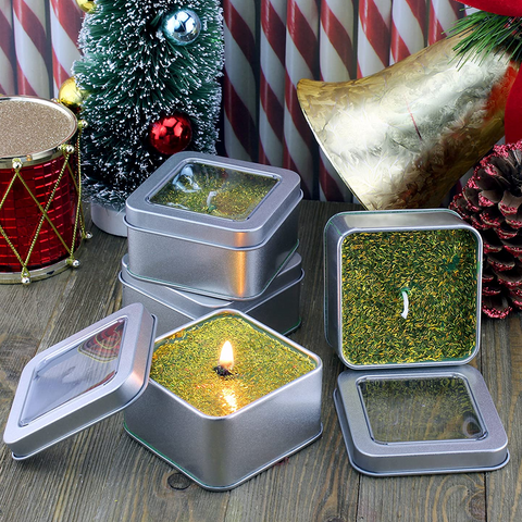 Square Silver Metal Tins with View Window (12-Pack) - Willow