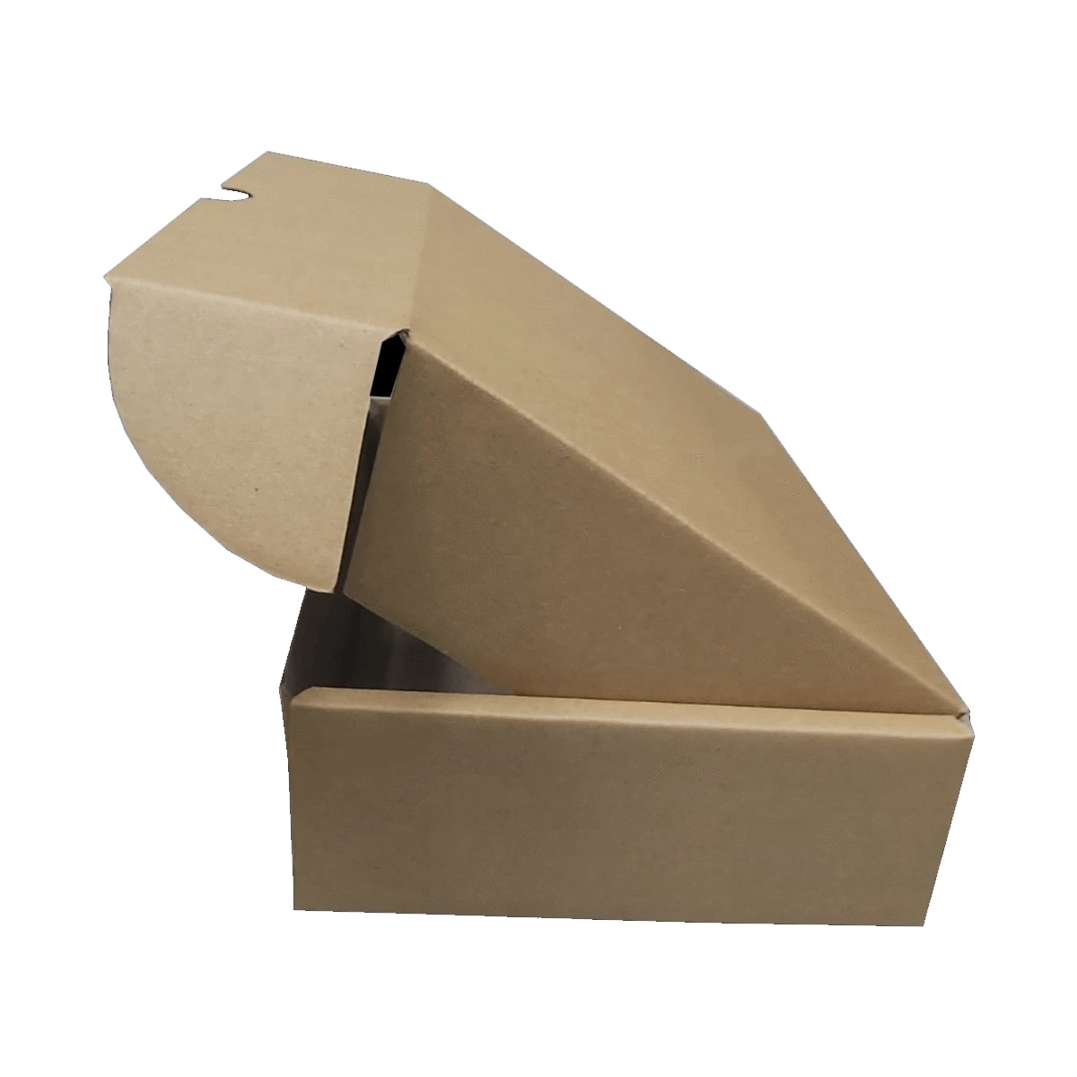 Kraft Paper Box Carton 24x20x7 Cm (10Pc Pack) - Willow
