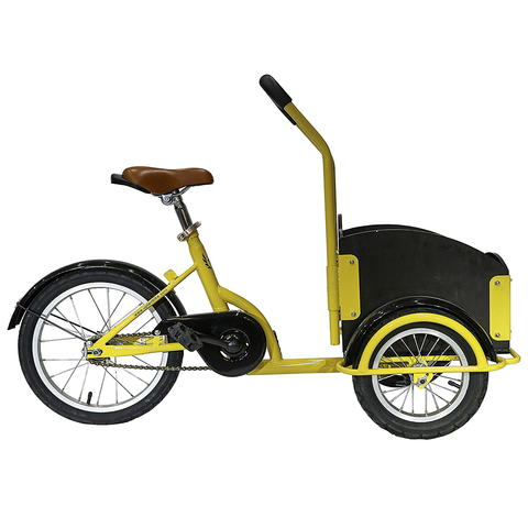 EMMA Children tricycle trike Cargo bike with wood basket cycle