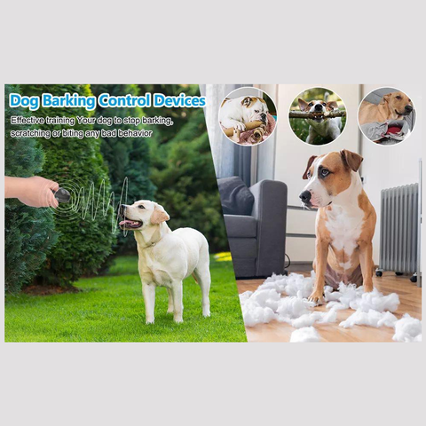 Dog Barking Control Devices Dual Sensor Anti Barking Device