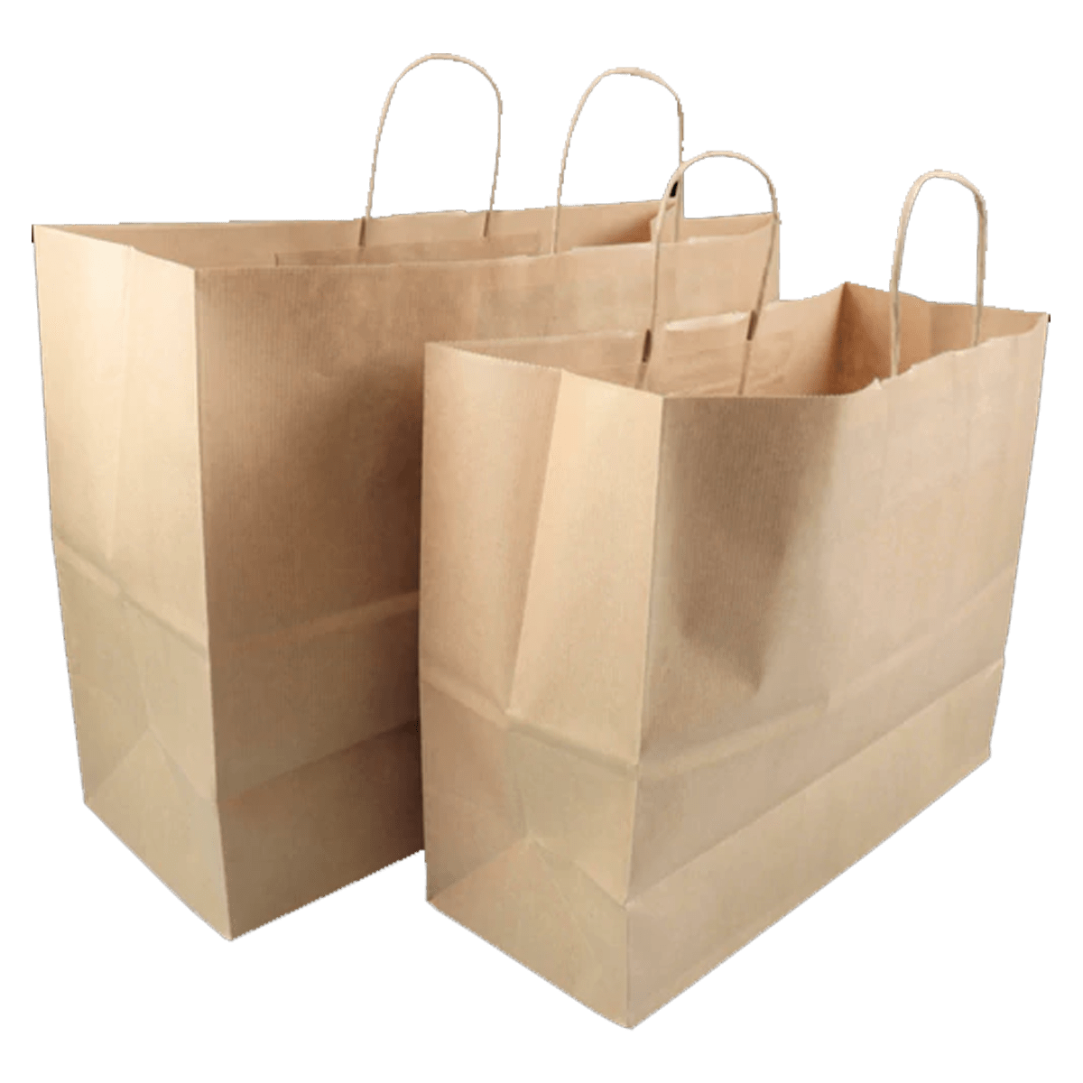 Large Kraft Paper Bags - (12 Pc Pack ) - WILLOW