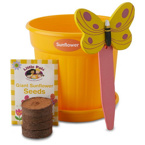 Little Pals Growing Kit (Giant Sunflower)