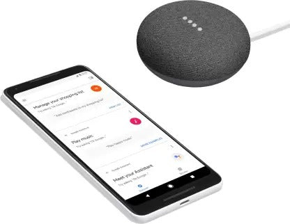 Google Home Mini