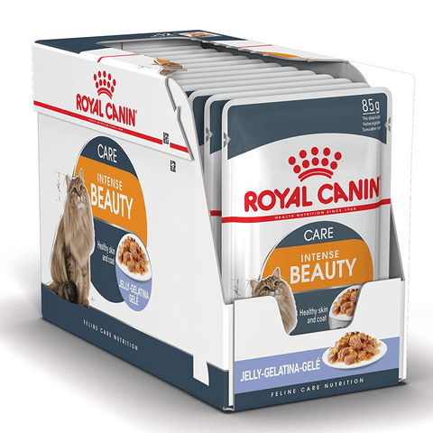 Royal Canin Cat Food Adult Intense Beauty in Jelly, Wet Food - 12 Pack x 85g Pouch