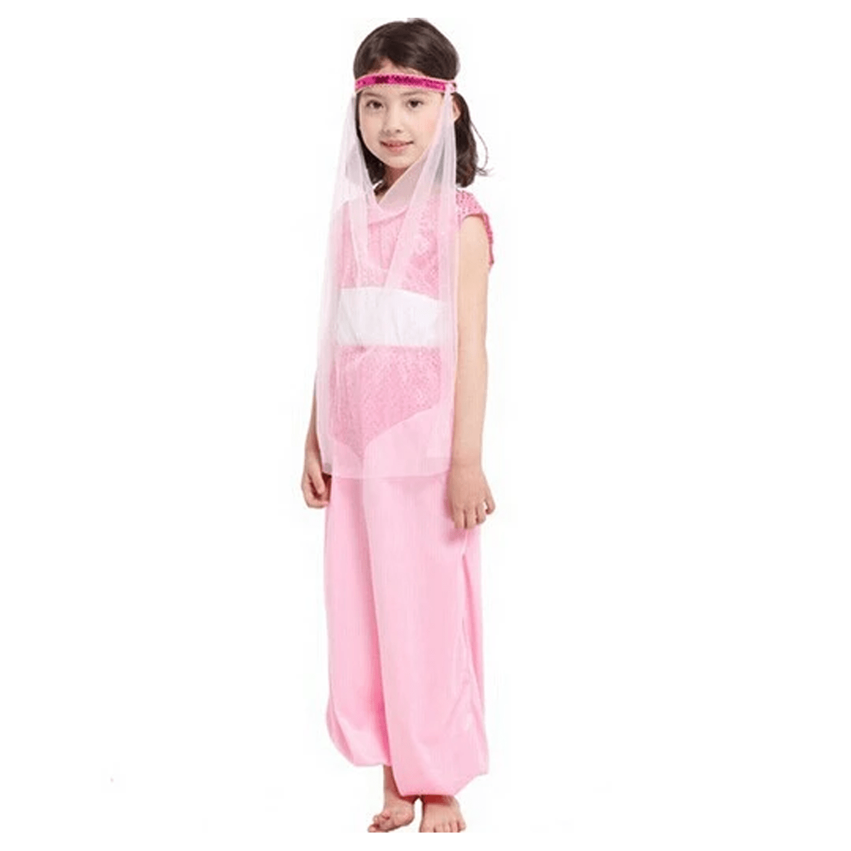 Little Adventures of Aladdin Arabian Princess Costume