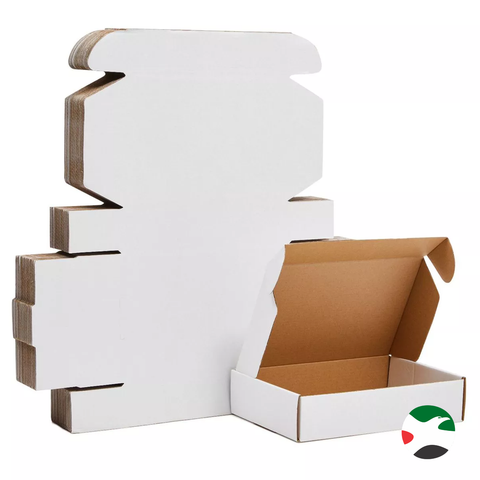White Bulk Kraft Paper Box Carton 24x20x7 Cm (100Pc Pack) - Willow
