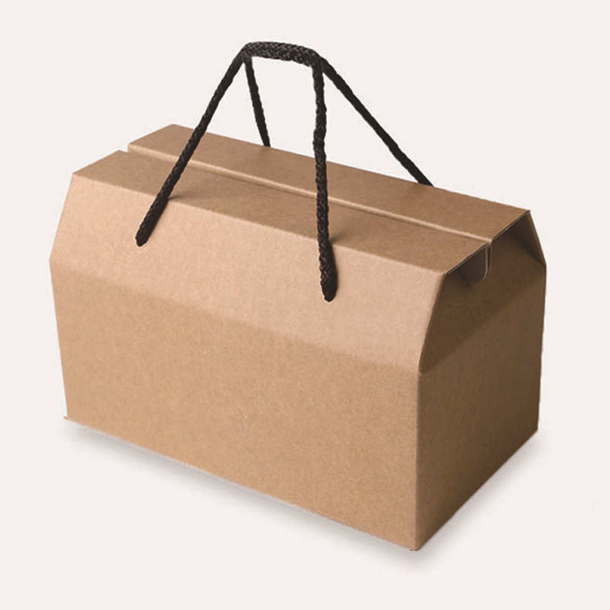 Heavy Duty Short Kraft Corrugated Boxes with Rope Handles  36x28x17Cm (10Pc Pack) - Willow